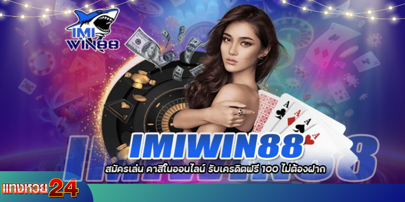 IMIWIN88